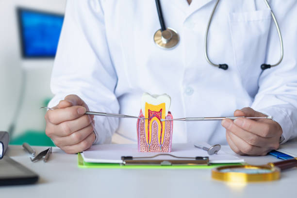 Best Pediatric Emergency Dentist in Tchula, MS